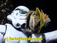 /home//u458753944/public_html/sourcegallery////////////////////////////////Roxborough Toad Detour/2021/2021-04-11/P4110241.JPG